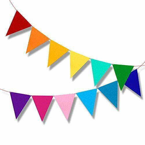Colorful triangular bunting flags in rainbow order strung on two lines against a white background.
