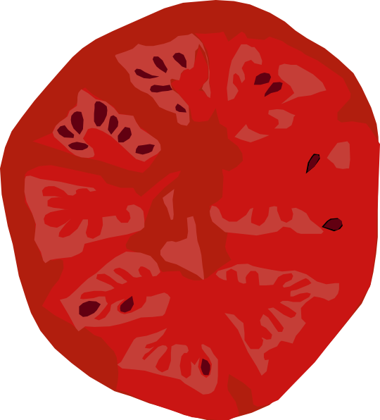 Tomato Anatomy: Illustrated Cross-Section of a Ripe Red Tomato