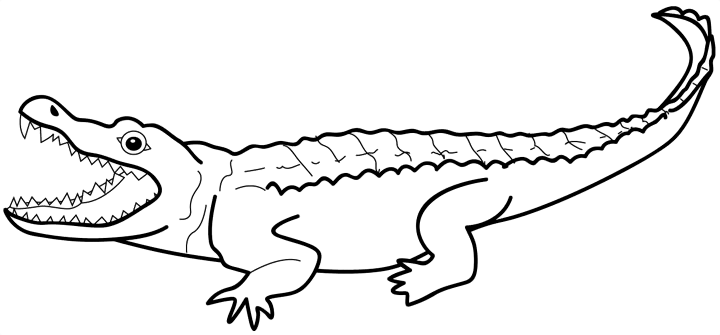 Black-and-white line drawing of a crocodile with open jaws, sharp teeth, and textured scales.