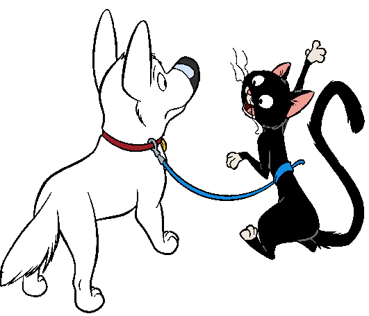A startled white dog on a red collar and leash faces an angry black cat with steam rising from its head, both mid-confrontation.
