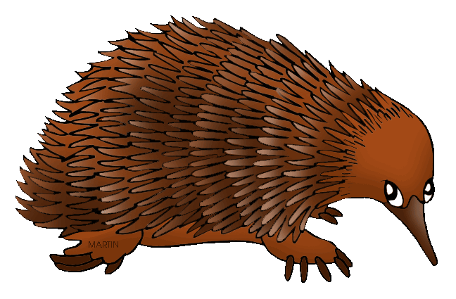 echidna clipart