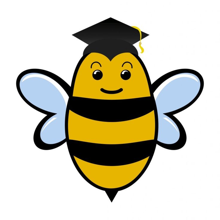 Graduation Bee - Fun Educational Mascot for Schools & Learning Programs
