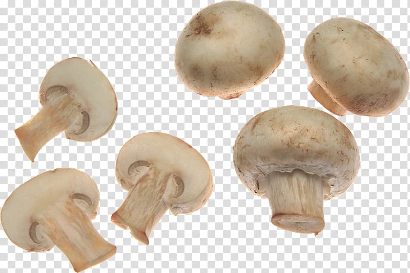 Fresh white button mushrooms displayed on transparent background, some whole and some sliced.