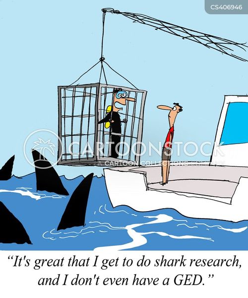 Shark Research Cartoon - Humor in Marine Science
