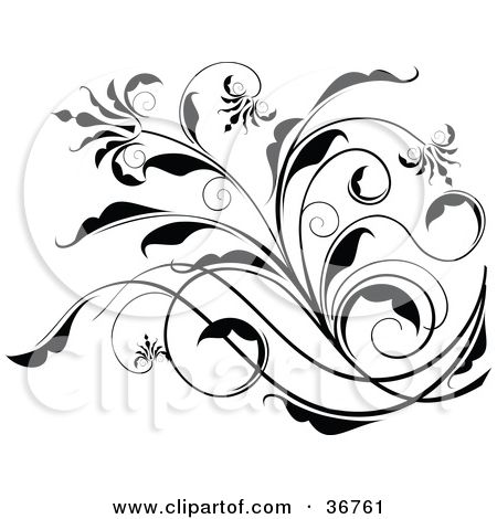 Black and white ornamental floral swirl design with elegant curves, leaves, and decorative flourishes on a white background.