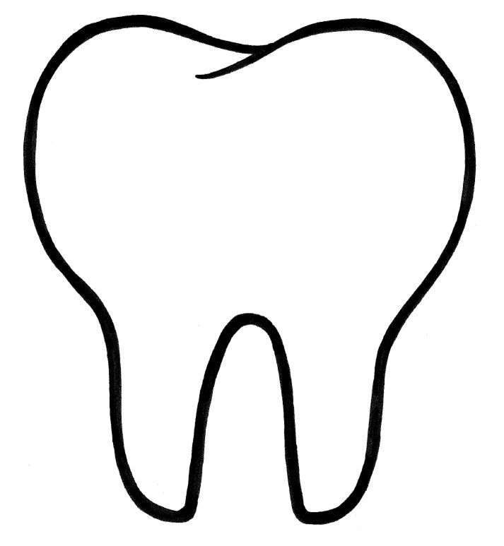 Simple black-and-white line drawing of a molar tooth with two roots and a curved occlusal surface.