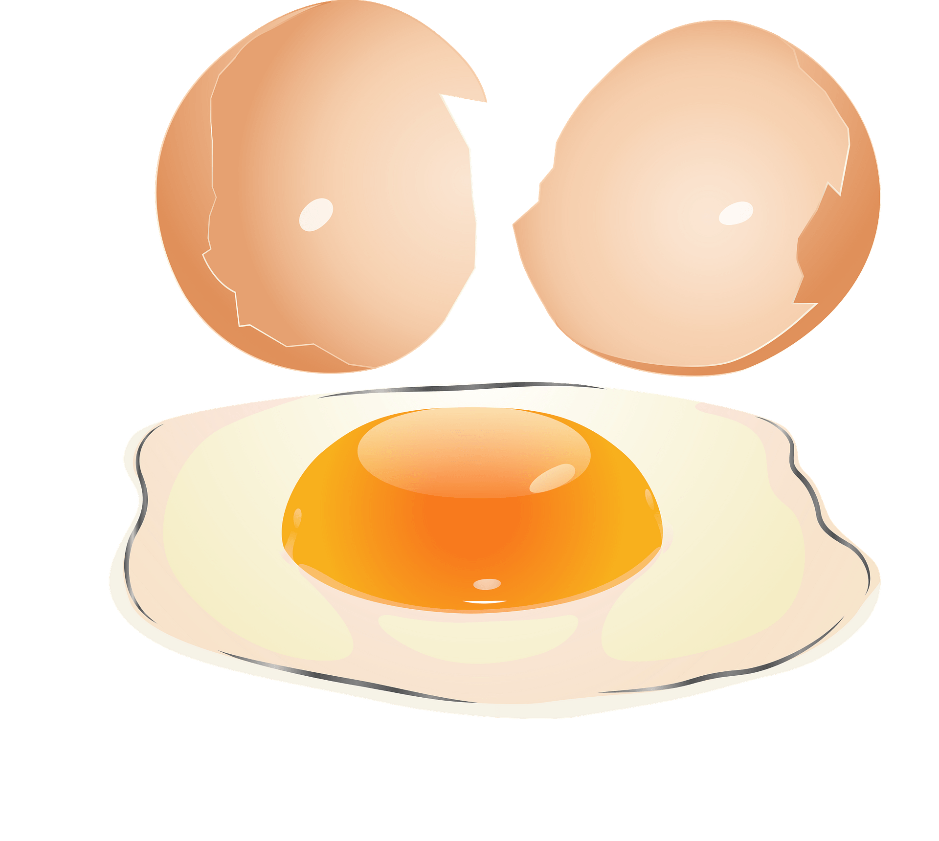 How to Fry an Egg Perfectly - Step-by-Step Guide with Visuals