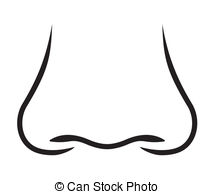 Human Nose Anatomy Illustration - Medical & Educational Use