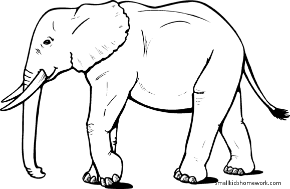 Elephant Coloring Page for Kids - Free Printable Download