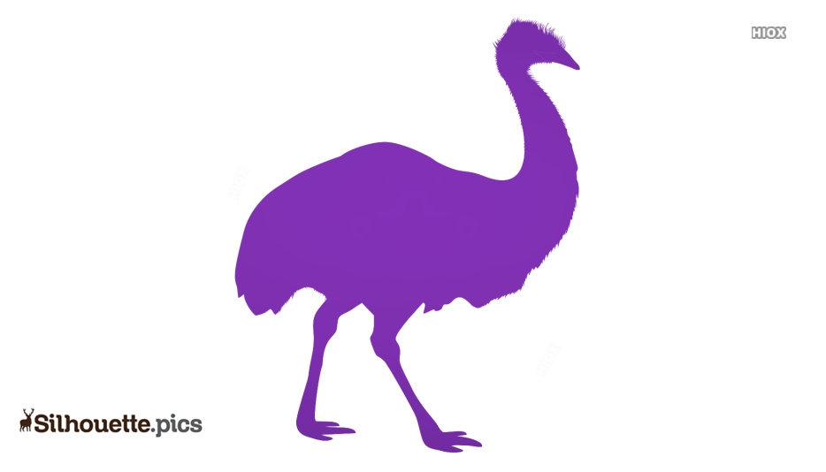 Purple silhouette of an emu standing in profile against a white background.