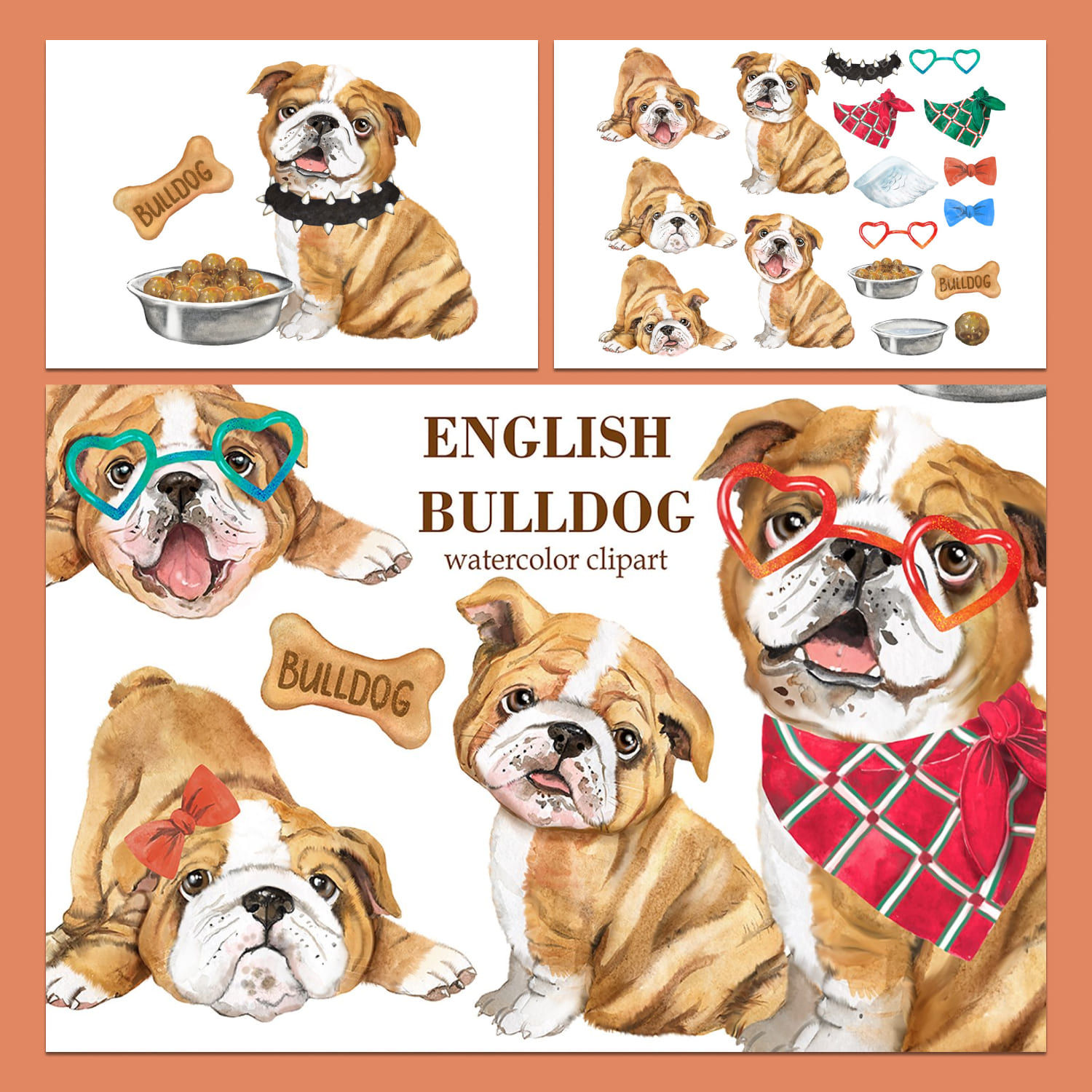 English Bulldog Watercolor Clipart - Cute & Editable Dog Illustrations