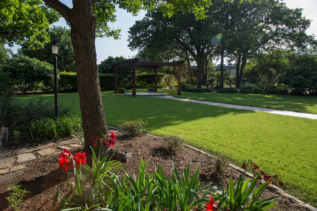 Serene garden with vibrant red flowers, mature oak tree, stone path, and wooden pergola under sunny skies.
