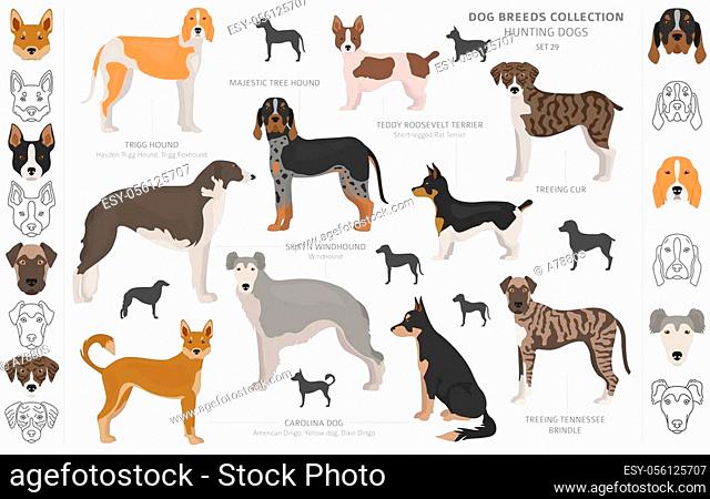 Carolina Dog Silhouette SVG Vector Clipart. American Dingo Silhouette ...