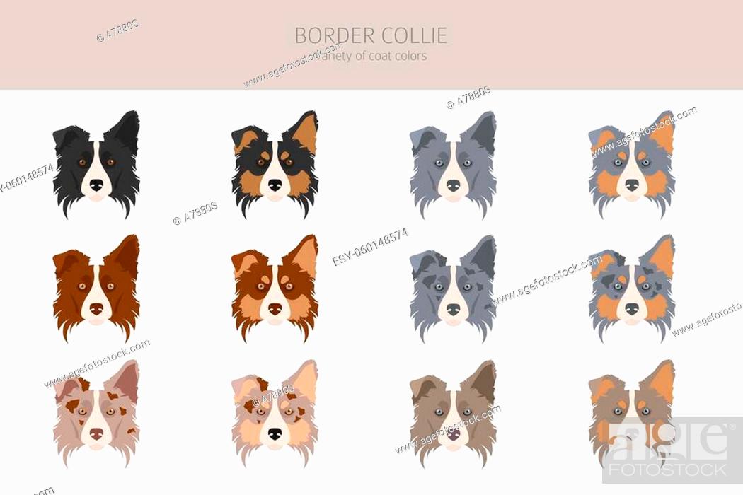 Collies Clip Art Library