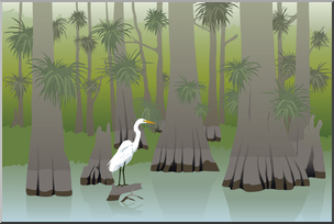 A white egret stands gracefully in shallow water among cypress trees and palm fronds in a serene swamp.