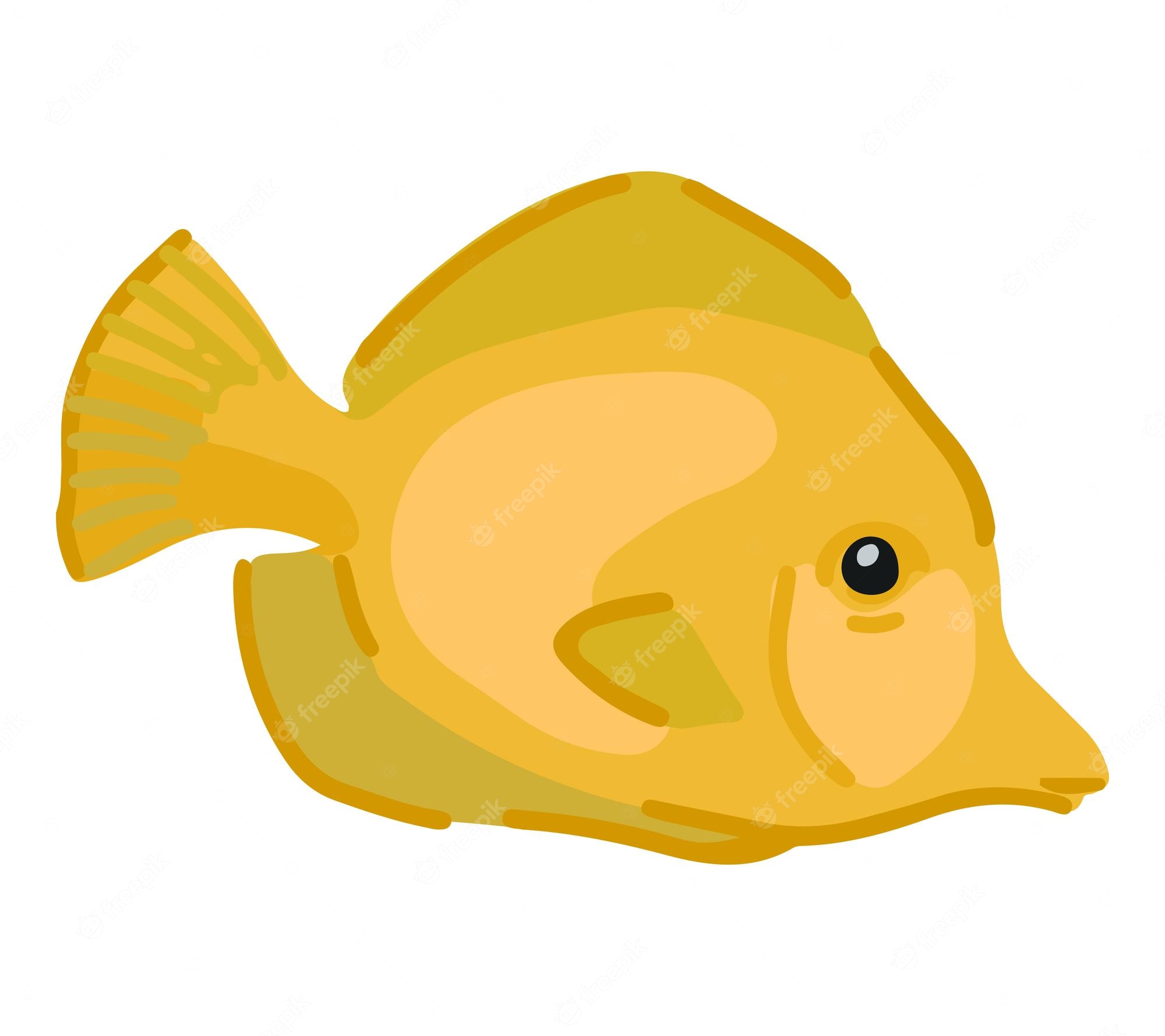 exotic-fishs-clip-art-library