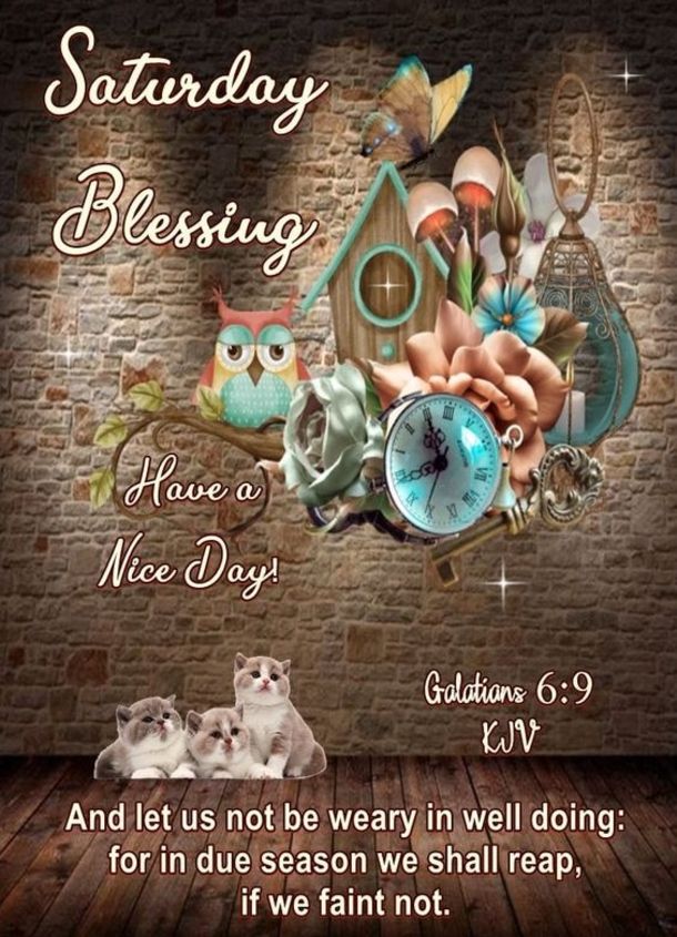 Saturday Blessing greeting with owls, clock, flowers, kittens, and Galatians 6:9 verse on rustic brick background.