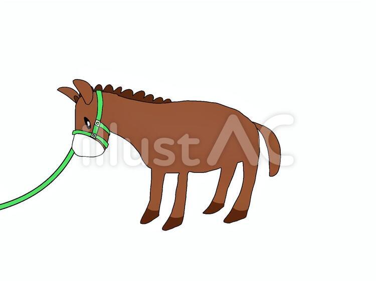 Brown donkey wearing a green halter and lead rope, standing in profile on white background.
