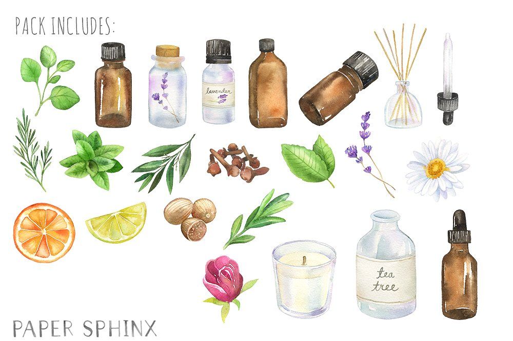 Watercolor illustration of essential oils, herbs, citrus slices, flowers, and aromatherapy items by Paper Sphinx.