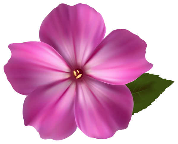 Pink Flower Illustration - High-Quality Botanical Clipart for Design