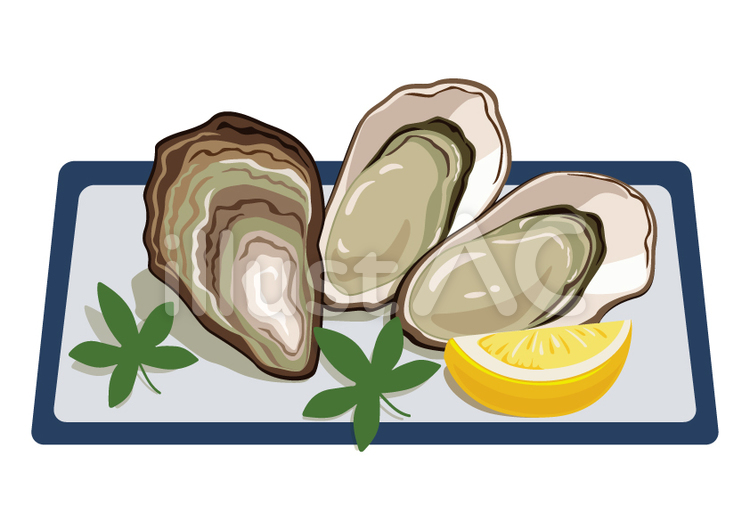 Fresh oysters on a white plate with lemon wedge and green garnish, served open-shell for dining.
