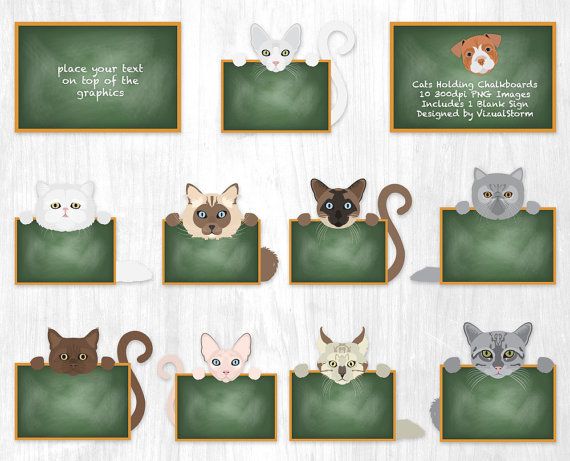 Cat Teacher White Board Point - Stock Illustration [20608001] - PIXTA ...