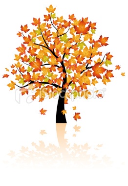Stylized autumn tree with vibrant orange, red, and yellow leaves against a white background, casting a soft reflection below.