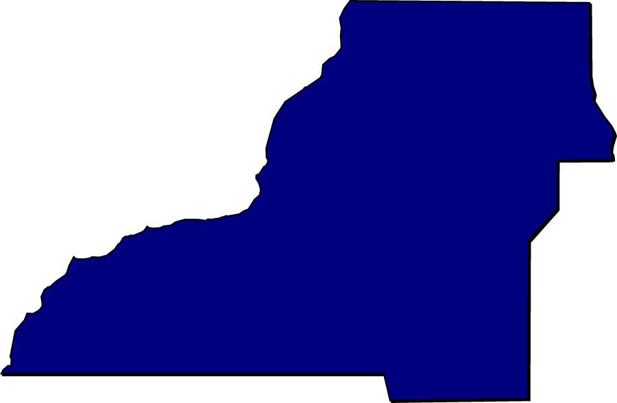 Blue silhouette outline of the U.S. state of New York on a white background.