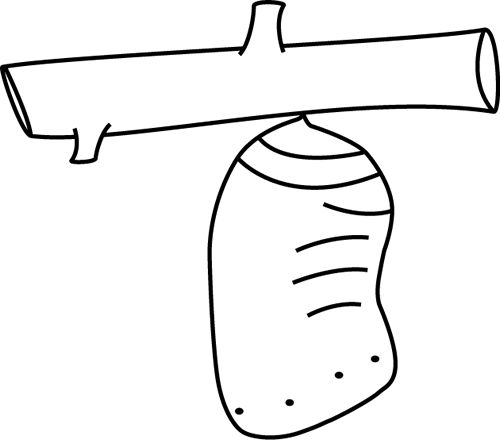 Simple line drawing of a butterfly chrysalis hanging from a twig, showing segmented body and small dots at base.