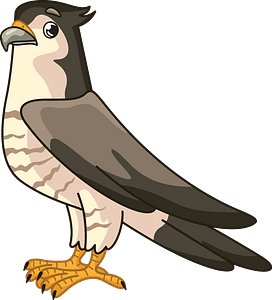 Cartoon illustration of a sharp-eyed falcon with brown wings, white barred chest, and yellow talons perched alertly.