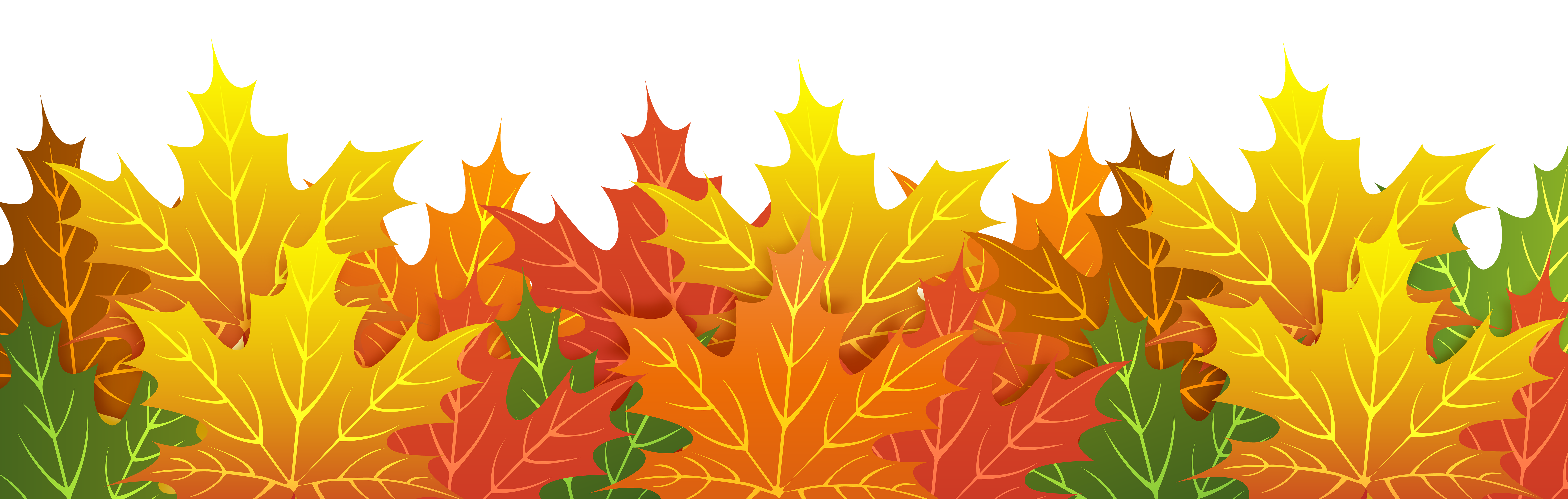Vibrant autumn maple leaves in shades of yellow, orange, red, and green layered against a white background.