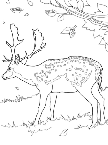 Line drawing of a spotted deer with antlers standing in grass under falling autumn leaves.