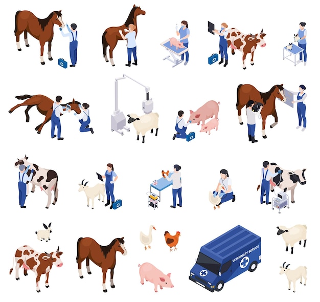 Veterinary professionals examining and treating horses, cows, pigs, sheep, goats, and chickens with medical equipment and a mobile clinic van.