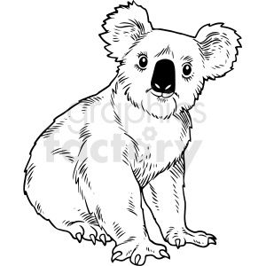 Black-and-white line drawing of a seated koala with large ears and expressive eyes, facing forward.