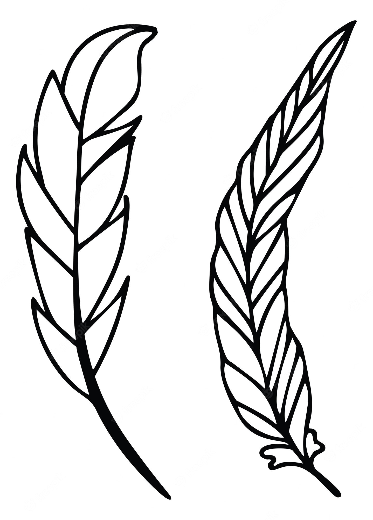 Clipart Of A Black And White Feather 7 Royalty Free Vector Clip Art 