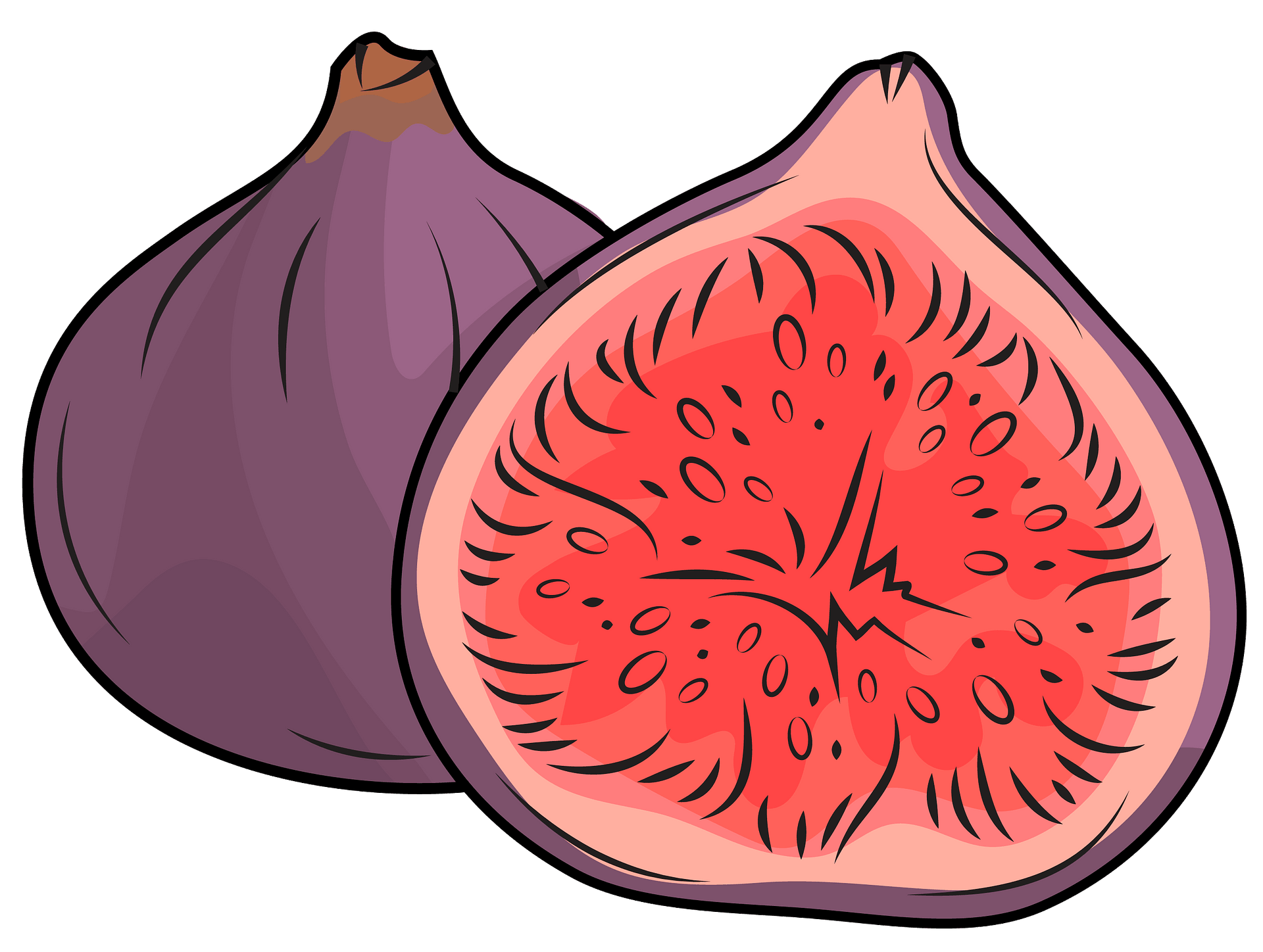 fig cartoons - Clip Art Library