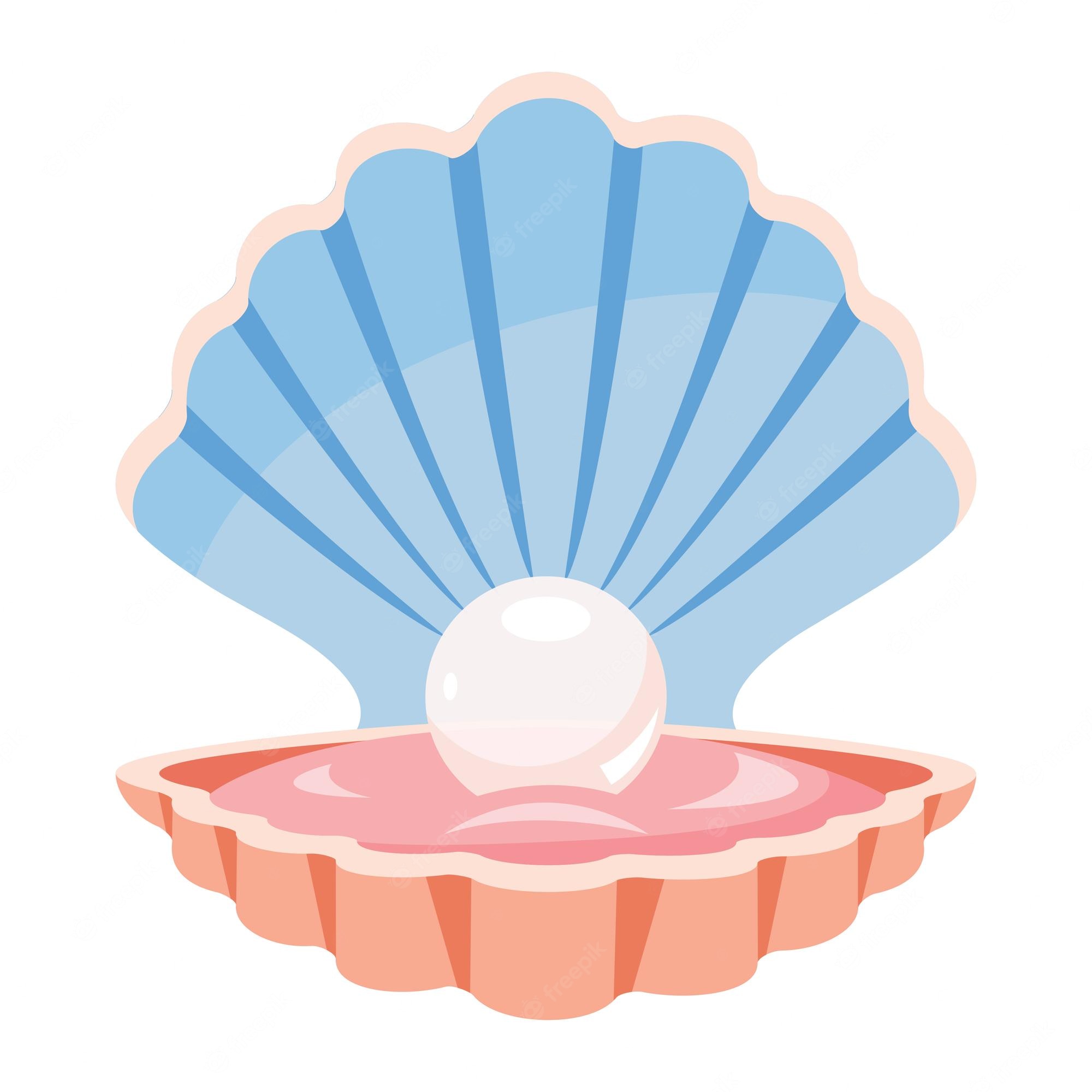 290+ Open Clam Illustrations, Royalty-Free Vector Graphics & Clip ...