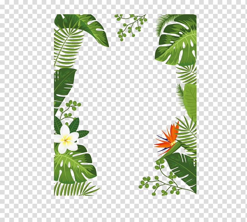 Tropical Leaf Border Frame - Free PNG Download for Design Projects