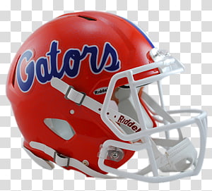 Florida Gators Football Helmet - Official Riddell Design & Team Colors