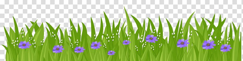Green grass border with purple flowers and white buds on transparent background