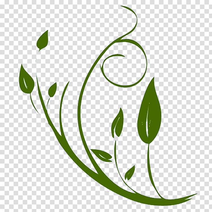 Stylized green vine with leaves and swirls on transparent background, representing nature, growth, or eco-design.