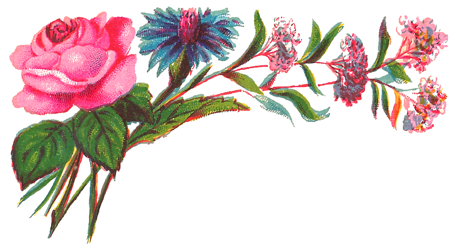 Vintage-style floral illustration with pink rose, blue coneflower, and smaller blossoms on green stems against black background.