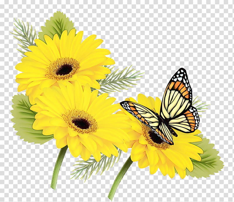 Vibrant yellow gerbera daisies with green foliage and a monarch butterfly perched delicately on a petal.