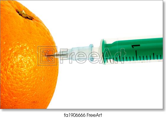 Orange Injection Image - Symbol of Food Modification & GMO Concepts