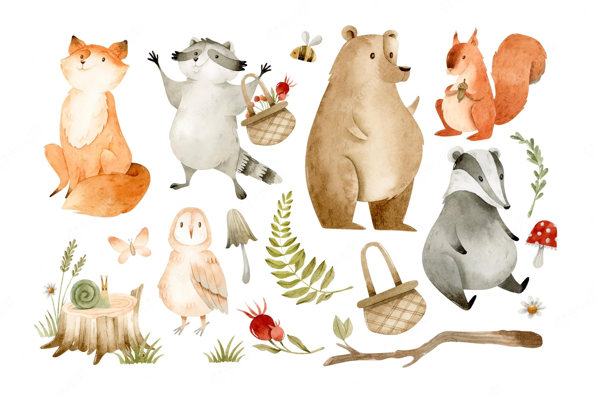 Cute Woodland And Forest Animals - Woodland Forest Animals Clipart ...