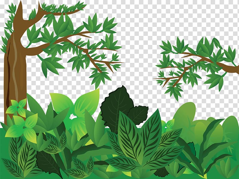 Lush green jungle scene with tree trunk, leafy branches, and dense foliage on transparent background.
