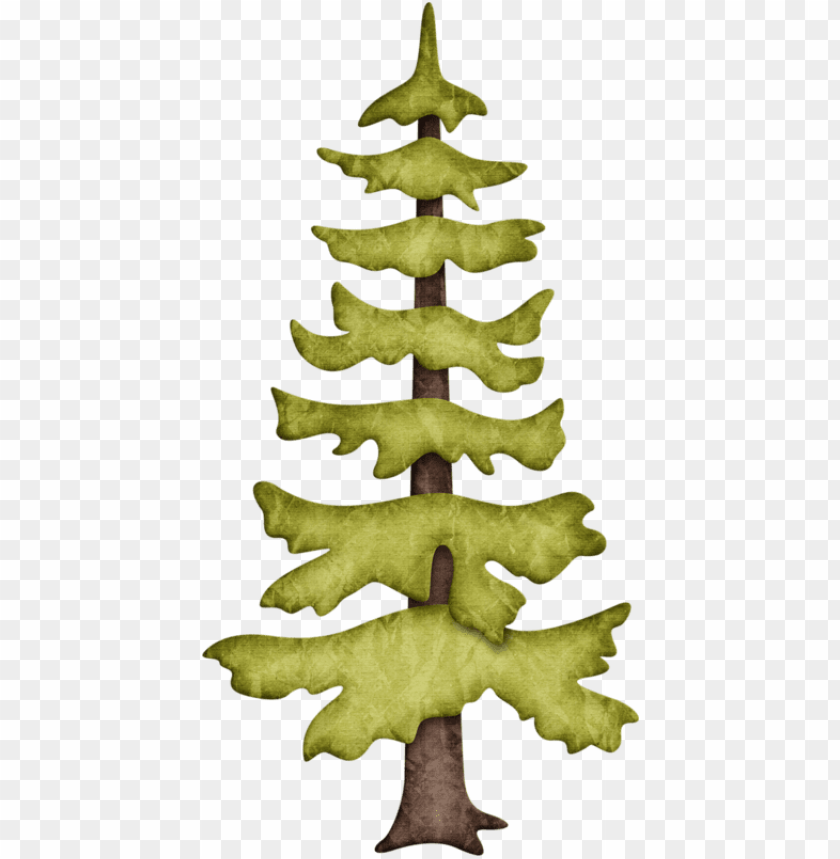 Hand-Drawn Pine Tree Illustration for Nature & Design Projects