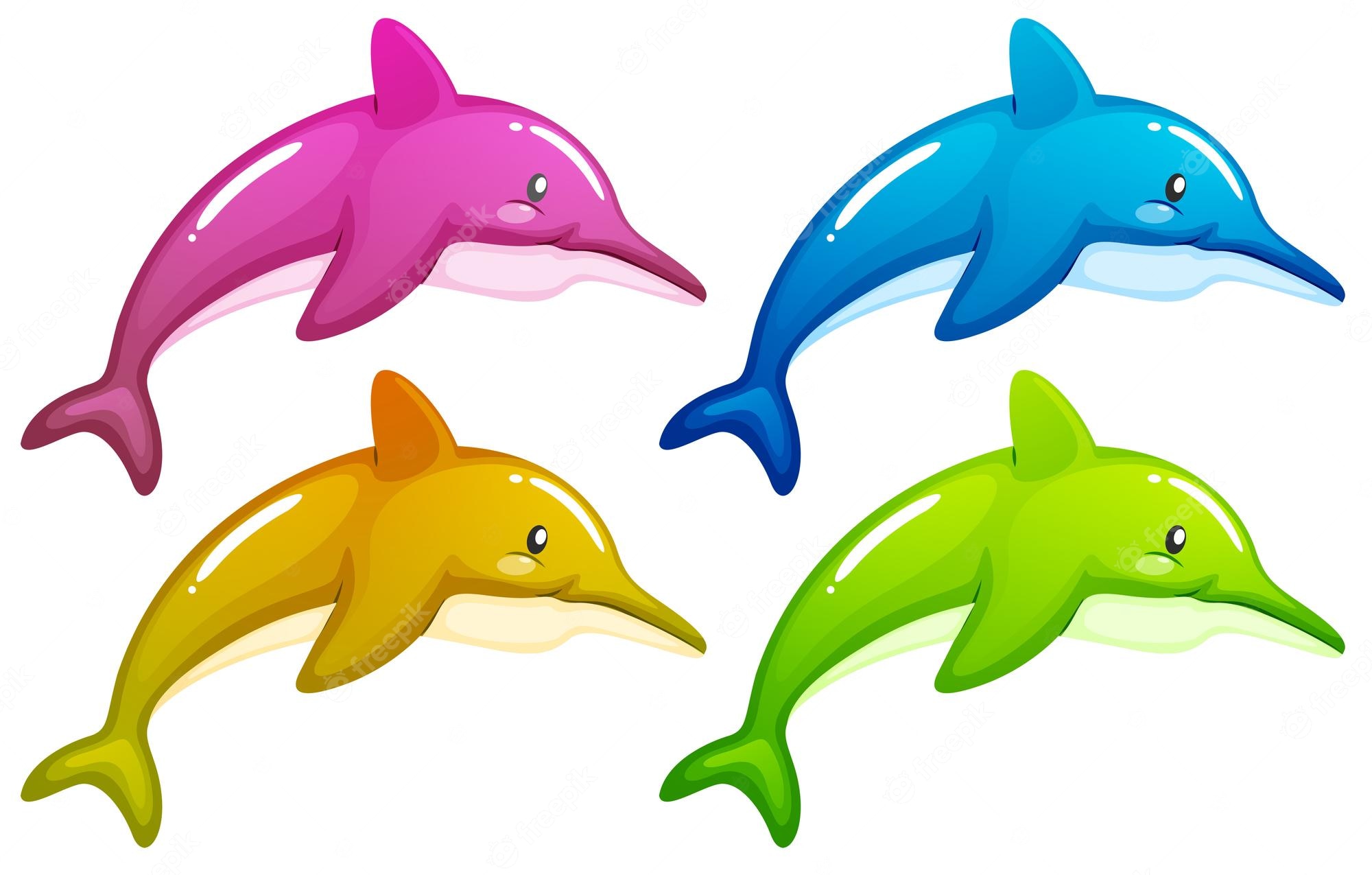 dolphin - Clip Art Library