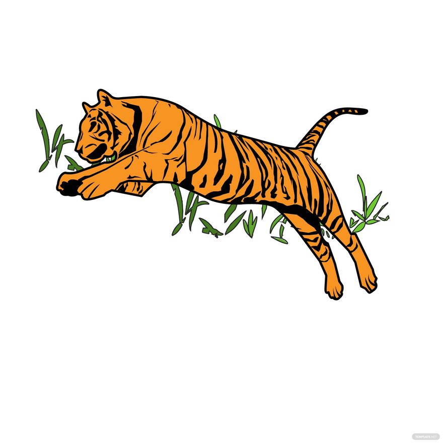 Rajesh Ghimire on LinkedIn: Royal Bengal Tiger found dead in Chitwan A Royal  Bengal Tiger has been…