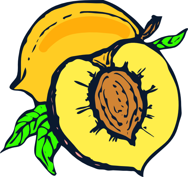 Fresh Peaches Illustration - Whole and Sliced with Pit and Leaves